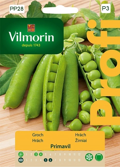 groch-primavil Vilmorin nasiona sklep rajogrodnika